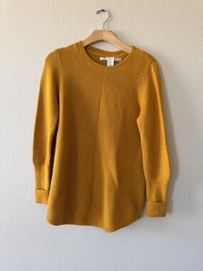 Max Studio Golden Mustard Open-Knit Crew Sweater